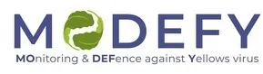 MODEFY MOnitoring & DEFence against Yellows virus