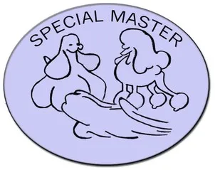 SPECIAL MASTER