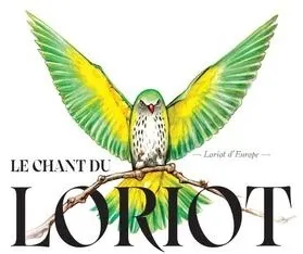 LE CHANT DU LORIOT Loriot d'Europe