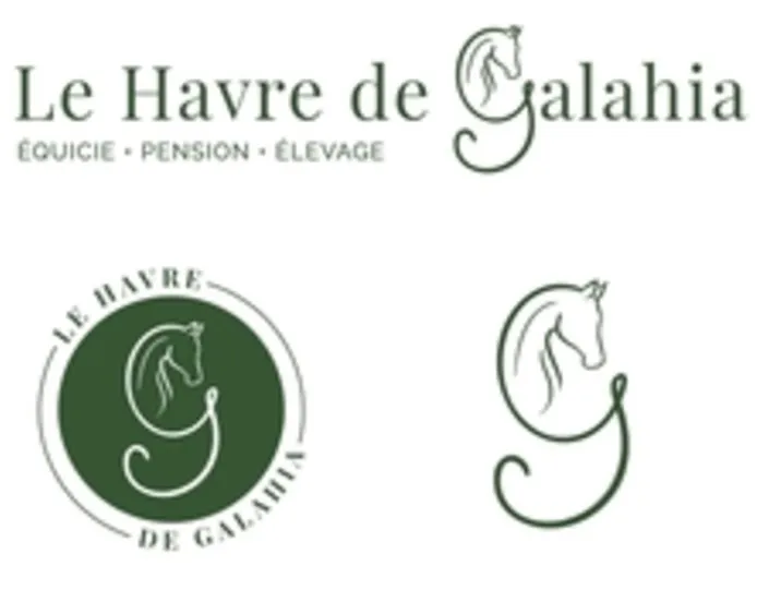 G Le Havre de Galahia EQUICIE PENSION ELEVAGE