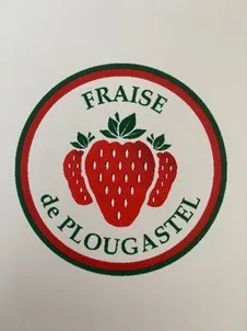 FRAISE de PLOUGASTEL