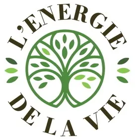 L'ENERGIE DE LA VIE