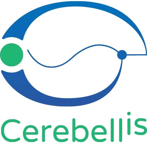 Cerebellis