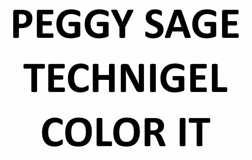 PEGGY TECHNIGEL COLOR IT