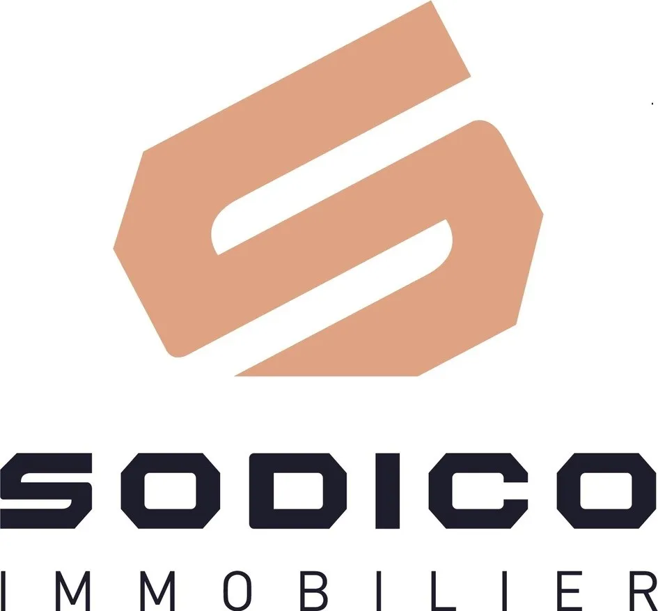 S SODICO IMMOBILIER