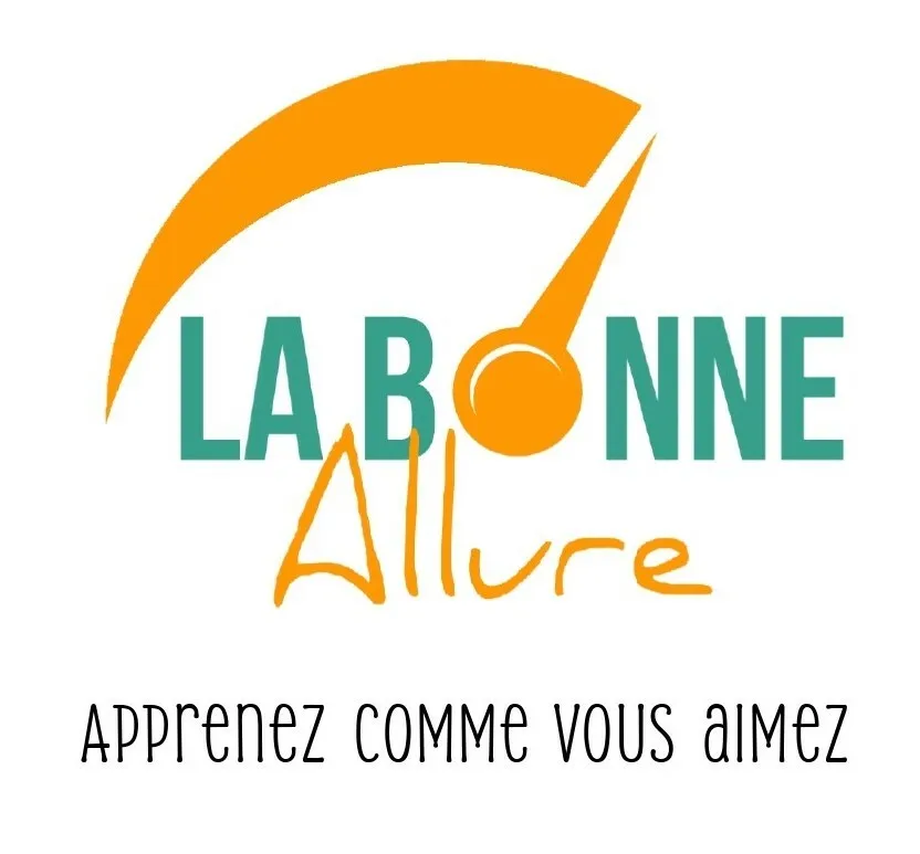 LA BONNE ALLURE APPRENEZ COMME VOUS AIMEZ