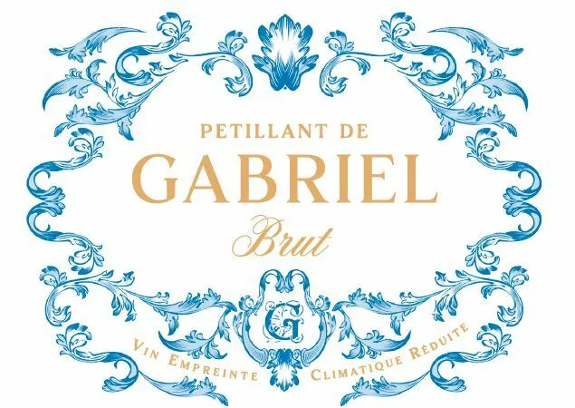 G PETILLANT DE GABRIEL Brut Vin Empreinte Climatique Reduite