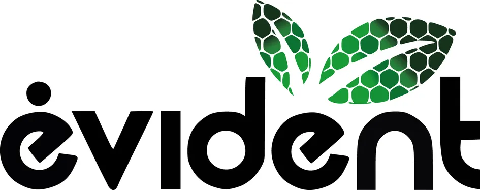 évident