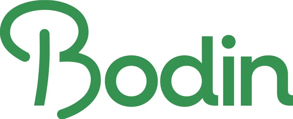 Bodin