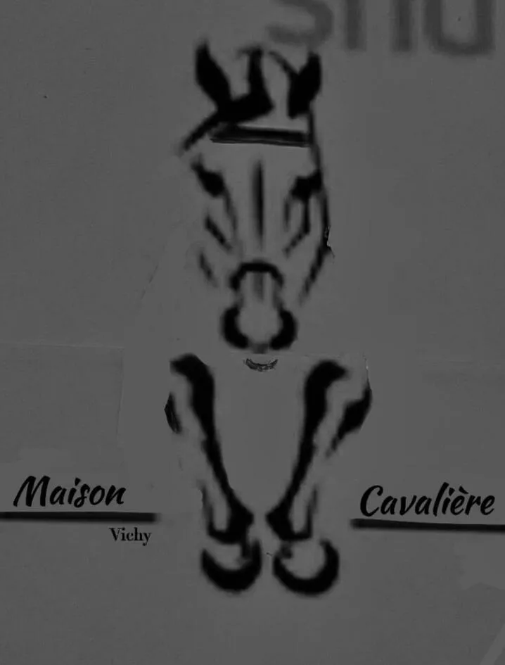 Maison Cavalière Vichy