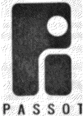 PI PASSOT