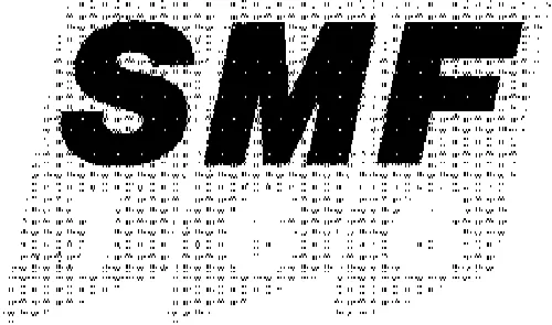 SMF 166