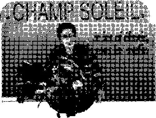 CHAMP SOLEIL JE LES AI ELEVES, JE VOUS LES CONFIE