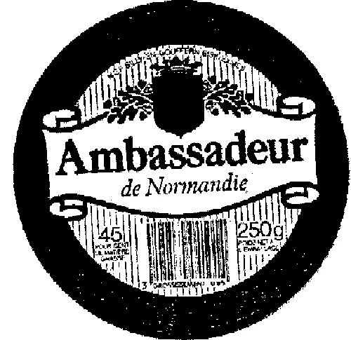 AMBASSADEUR LE NORMANDIE