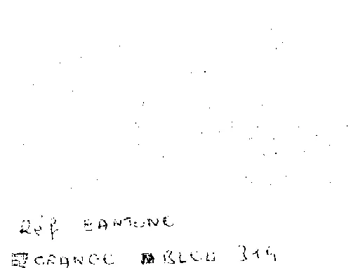 Fideline 2000