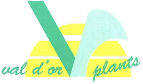 V VAL D OR PLANTS