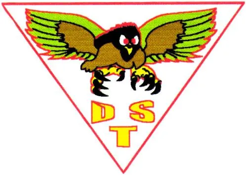 DTS