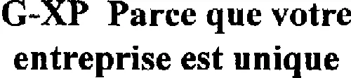 G-XP PARCE QUE VOTRE ENTREPRISE EST UNIQUE