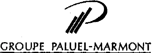 P GROUPE PALUEL-MARMONT