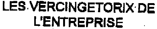 LES VERCINGETORIX DE L'ENTREPRISE