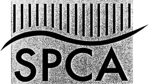 SPCA