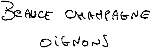 BEAUCE CHAMPAGNE OIGNONS