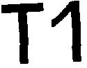T1