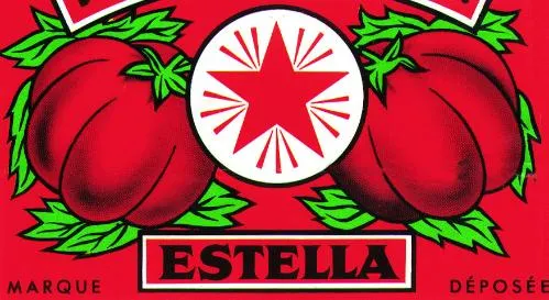ESTELLA