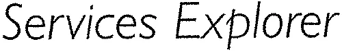 Services Explorer
