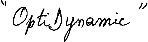 « OptiDynamic »