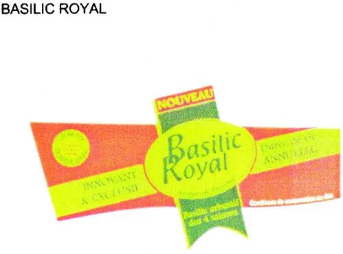 BASILIC ROYAL