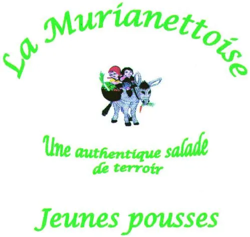La Murianettoise Une authentique salade de terroir Jeunes pousses