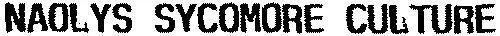 NAOLYS SYCOMORE CULTURE