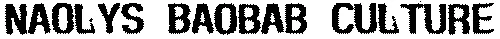 NAOLYS BAOBAB CULTURE