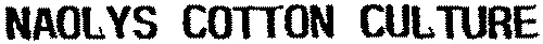 NAOLYS COTTON CULTURE