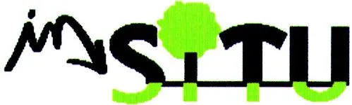 IN SITU