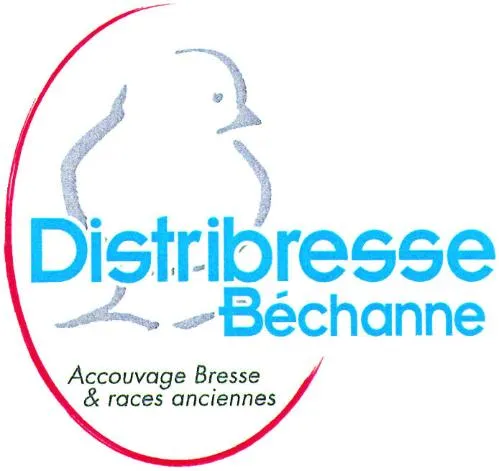 Distribresse Béchanne Accouvage Bresse & races anciennes