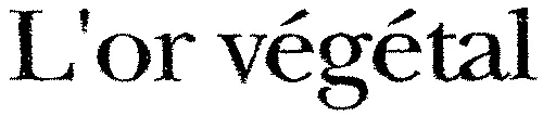 L'or végétal