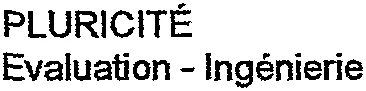 PLURICITÉ Evaluation – Ingénierie