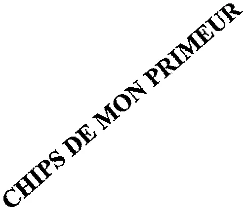 CHIPS DE MON PRIMEUR