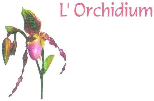 L'ORCHIDIUM