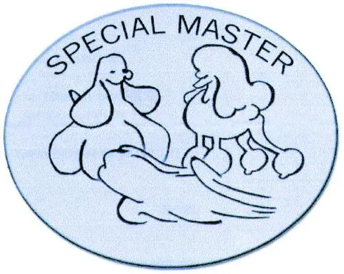 SPECIAL MASTER