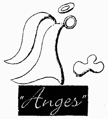 “ Anges ”