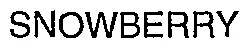 SNOWBERRY