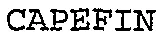 CAPEFIN