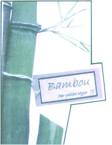 Bambou par philea style
