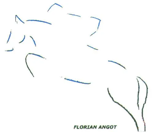 FLORIAN ANGOT