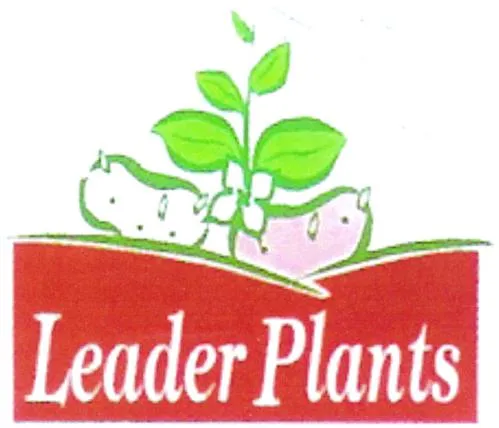 Leader Plants