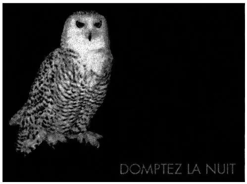 DOMPTEZ LA NUIT