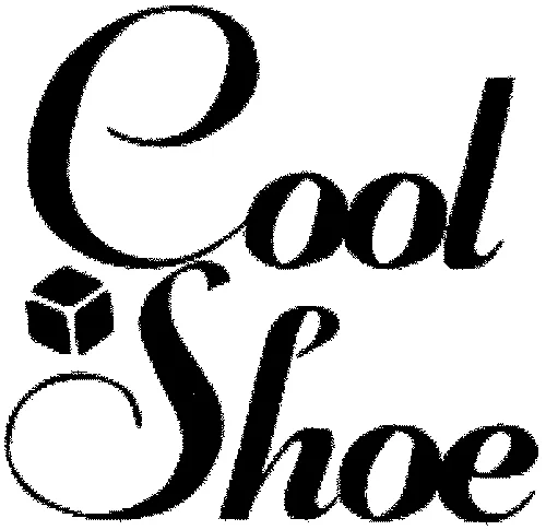 COOL SHOE